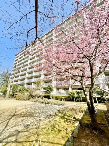 ��t���D���s�{���R4���ڂ̒��Ã}���V�����̌��n�O�ώʐ^