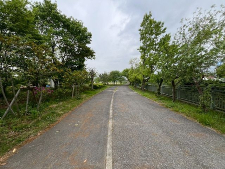 ��t���s��s���L��3���ڂ̐V�z��ˌ��Ă̎��ӊ�